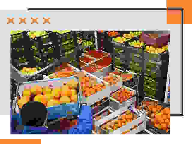 Перевозка скоропортящихся продуктов в Рославле